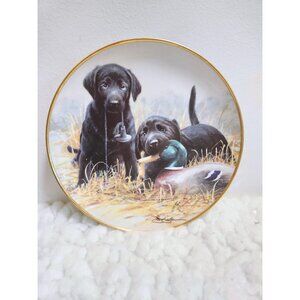 Black Lab Display Plate Beginners Luck Franklin Mint Heirloom Dog Nigel Hemming